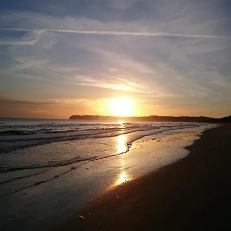 公寓 Gardensuite *