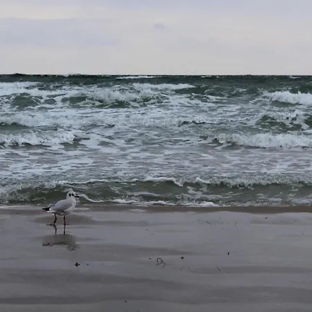 公寓 Gardensuite 宾茨